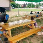 Beautify Enumclaw, Buckley | Slideshow