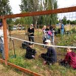 Beautify Enumclaw, Buckley | Slideshow