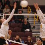 Hornets sting Sumner Spartans