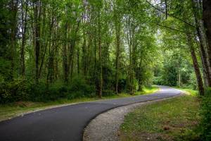 Tell King County what you think about the trail system