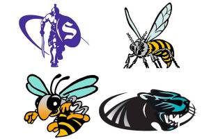 Area football teams add to victory column