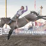 Enumclaws Cole Snider hangs on for another successful bareback ride, one of many that landed him the Pro-West championship. COURTESY PHOTO