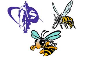 Postseason play awaits area football programs