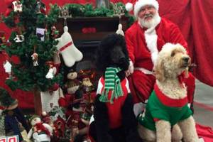 Photos with your pets and Santa | Tractor Supply Company