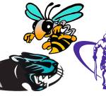 Latest wrestling report includes three local teams, top individuals