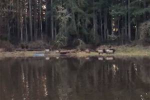 Forest bathing using the five senses | SoHaPP