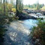 Be king to your community, your environment, and yourself