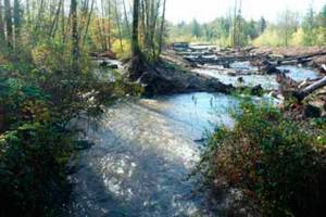 Be king to your community, your environment, and yourself