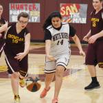 Local teams head into postseason hoops