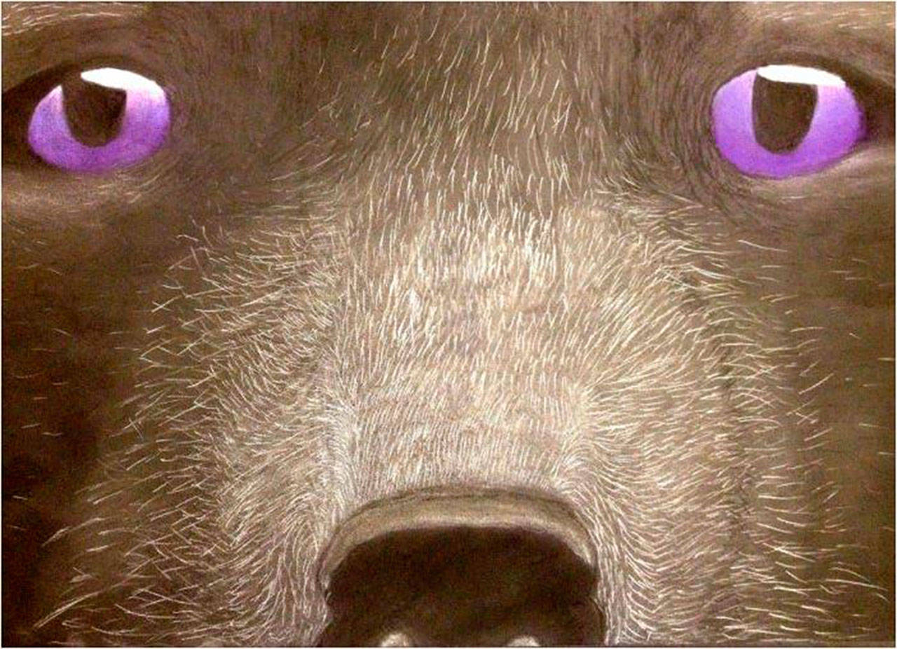 Bonney Lake student Amelia Day placed both second in the seventh and eighth-grade drawing category fir Prey, (above) and second place in the same age category for a short science fiction story in 2016. Day is now a 10th grade student in the district. Image courtesy Amelia Day.