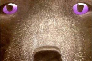 Talented teens invited to enter library’s art contest | Pierce County Library System