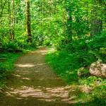 ‘Activity backpacks’ for exploring state parks to be available at your local library
