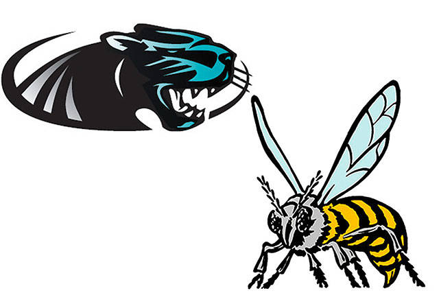 State meet includes Panther swimmers and a Hornet diver