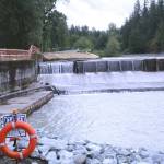 Saving salmon: Downstream fish passage to be added to Green River