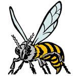 Enumclaw High baseball, softball ready for the spring