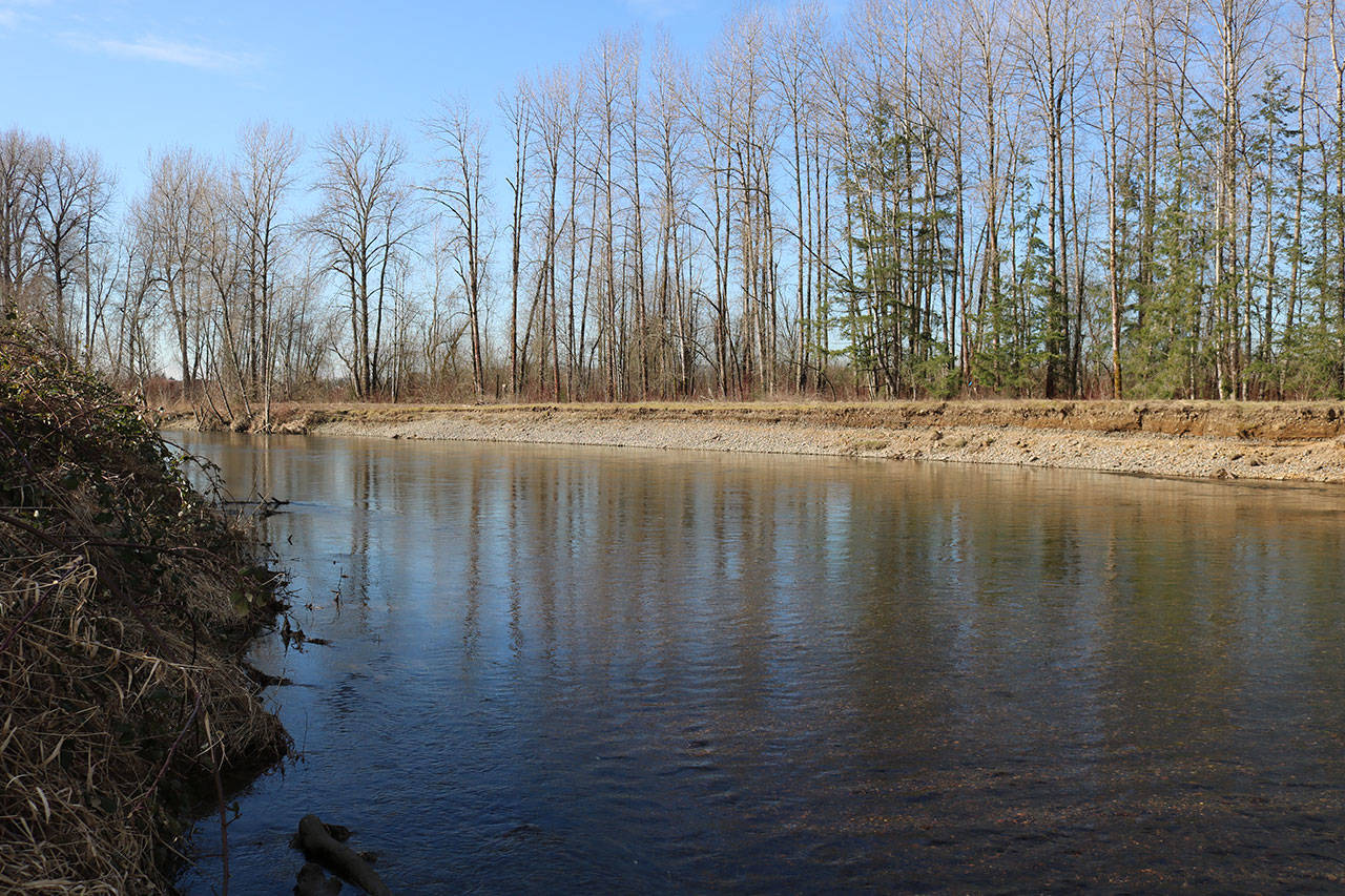 The Green River runs through the Kent valley and hasnt experienced major flooding since the Howard Hanson Dam was built in the 1960s. However, in 2009, the dam was found to not provide as much protection as previously thought, and the county is exploring ways to flood-proof the river. Aaron Kunkler/staff photo
