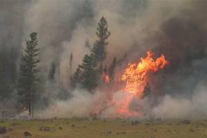 Happy National Public Health Week? Our house is on fire… | Public Health Insider