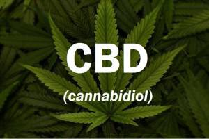 CBD: Concern, or no big deal? | Public Health Insider