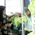 Students Kendra Arteaga and Valeria Rodrigues-Pachuca harvest some fresh lettuce to give to the Enumclaw Food Bank. Photo by Ray Miller-Still