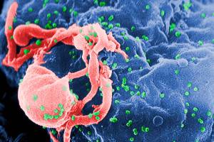 An update on the increased HIV risk among drug-users | Public Health Insider
