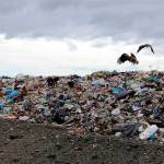 Garbage at the Cedar Hills Regional Landfill in Maple Valley. FILE PHOTO, Seattle Weekly