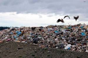 County extends life of Cedar Hills landfill