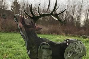 ‘Elk on the Trail’ art installation hosts public ribbon cutting