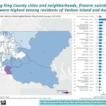 A page from King County Public Health departments report about firearm violence and suicide in the county. Image courtesy Public Health - Seattle and King County.