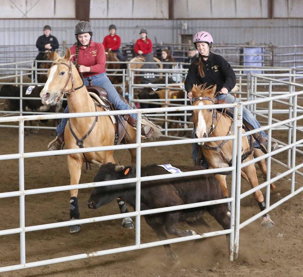 Local riders take honors in state equestrian meet