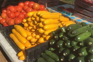 Plateau Farmers Market ready for Thursday debut