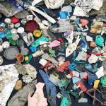In this 2017 photo, emergency cleanups hosted by Surfrider Pacific Rim in the wake of a massive plastic bag spill hitting the West Coast revealed a gruesome mosaic of single-use plastics coating local shorelines. (Photo courtesy of Surfrider Pacific Rim)