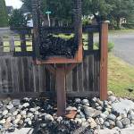 The fire that burnt down the Little Free Library on Marion Street also damaged the fence behind it. Photo courtesy Amy Penasa