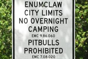 Following state lead, Enumclaw to allow pit bulls