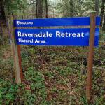 The Ravensdale Retreat Natural Area will be closed to the public so work crews can thin out some of the trees. Image courtesy Harry Biped/www.harrybipedhiking.com