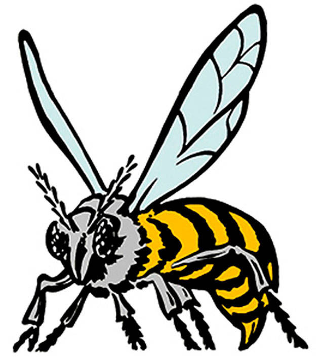 Enumclaw High grad lands scholarship