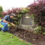 Enumclaw Mayor Jan Molinaro cleans up at his citys Veterans Memorial Park during last years Beautify event. Photo by Ray Miller-Still