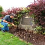 Enumclaw, Buckley prepares for second “Beautify” efforts