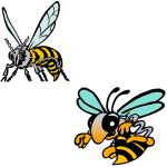 Week 5 football: White River earns Homecoming win