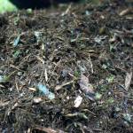 King County is considering ways to increase both the supply of and demand for compost to help divert organic material from the landfill. File photo