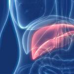 Hepatitis A affects the liver and is easily transmitted from person to person, but is vaccine-preventable. Courtesy image