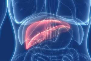 Update on hepatitis A outbreak | Public Health Insider