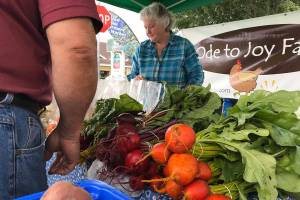 Enumclaw budget again includes variety of ‘outside agency’ funding