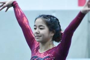 McGinnes wins all-around