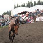 Former EHS student Cole Snyder rode in last Augusts rodeo during the bareback event. Photo by Ray Miller-Still