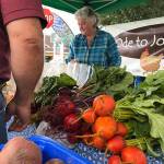 With its first season being deemed a success, the Plateau Farmers Market plans to return next summer with the ability to process food stamp benefits. Contributed photo