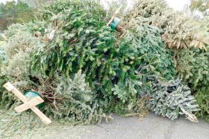 How to recycle your holiday trees, lights