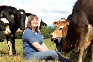 Enumclaw’s dairy scene is disappearing