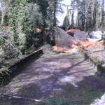 Approximately 3,000 feet of Foothills Trail were recently added, but it comes to an end south of Enumclaw. Once work resumes, the trail will extend to the abandoned Boise Creek Bridge, visible from Mud Mountain Road. Photo by Kevin Hanson