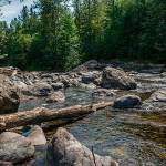 Free day at state parks on March 19