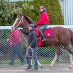 Barkley, the 2018 Longacres Mile champion, and Jennifer Whitaker were first on the track for winter training at Emerald Downs in February. COURTESY PHOTO, Emerald Downs